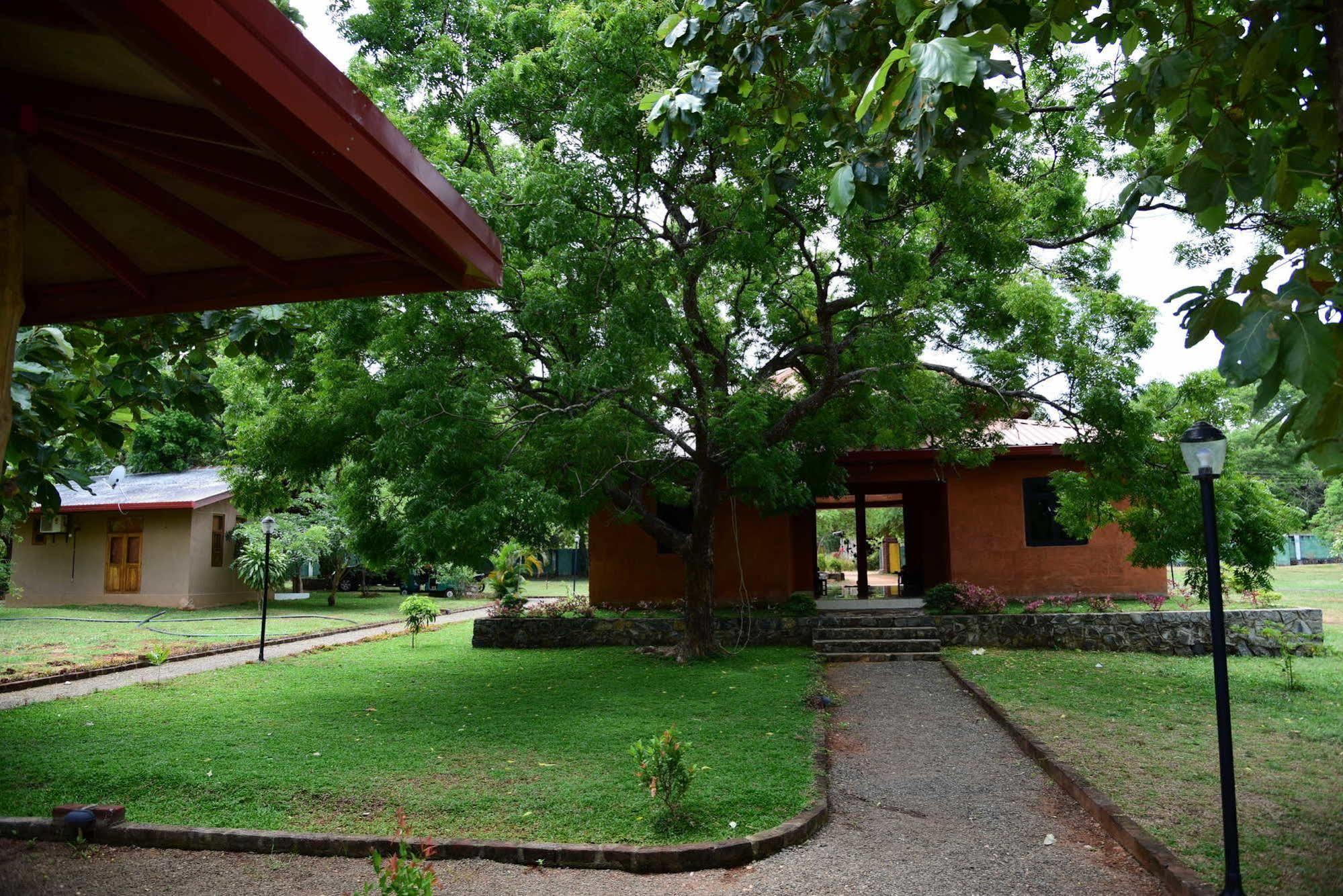 Indika Lake Resort Nuwarawewa East Exterior photo